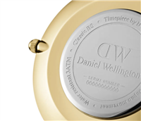 Watch Daniel Wellington Petite in Steel DW00100346 - DW00100346